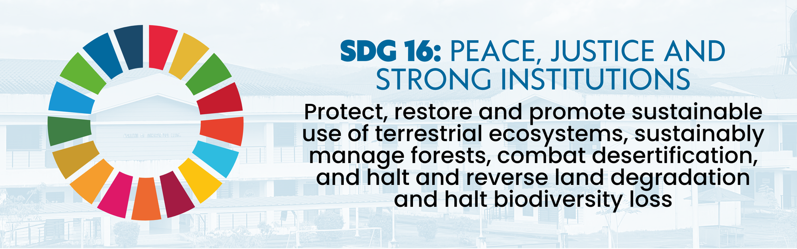 SDG 16 Logo